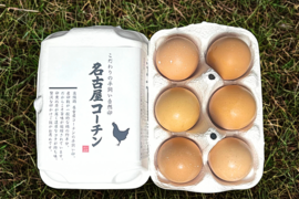 人気の 🐔平飼い卵【名古屋コーチン】（48個入り）🐔濃厚でコクがある その他
