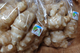 掘りたてを洗って直ぐお届け菊芋１kg【500g✖️２袋】
