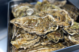 【冷凍かき】三重県産 加熱用 浦村かき カンカン焼き( 1缶に約50個入り)BBQ バーベキュー 海鮮 牡蠣