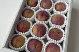 貴陽の通販｜プラム（すもも）｜食べチョク｜産地直送(産直)お取り寄せ
