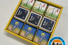 令和7年産　新潟県産　真空パック米３００ｇ×９個セット　無洗米