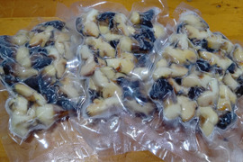 小泊産！ボイルサザエ100g×3パック（冷凍）
おまけ付き！