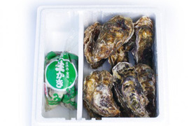旨味たっぷり！倉橋産生牡蠣むき身 　生食用 ５００ｇ　殻つき１０個のセット