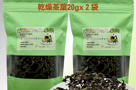 暑さを喜ぶパワー植物　2025年産　ホーリーバジルティー　20g　合計２パックセット