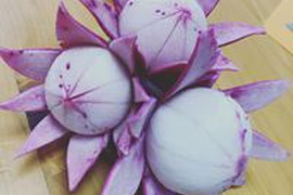 手で皮がむける　もものすけかぶ3ｋｇ　有機ＪＡＳ