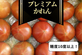 【糖度10度以上】最高ランク！プレミアムかれん