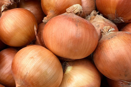 北海道産 特別栽培 玉ねぎ 9kg