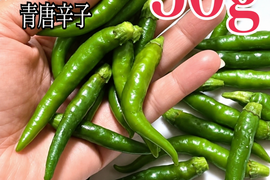 産地直送の岡山県産の青唐辛子を50g