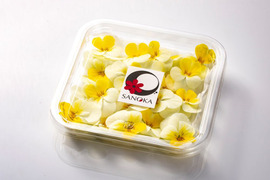 美食の演出！エディブルフラワー『SANOKA』ビオラ クリームイエローリップ 20輪入り 食用花 ケーキ スイーツ デコレーションにも！