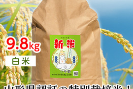 【令和6年新米】つや姫9.8キロ白米　甘味のある新食感！