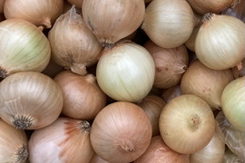 ピクルスに❗️知多のペコロス　SSサイズ(直径2cm程度) 1kg