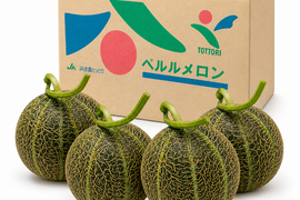 ペルルメロン 4,5玉 約7-8kg 糖度：16〜18度 鳥取県産 6月20日以降順次発送