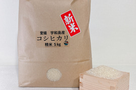 【令和6年度産】新米 コシヒカリ ５㎏ ＊特別栽培米＊