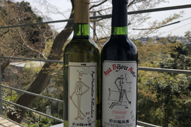 🍷🍾【特別な紅白ワイン】　自家栽培樹齢60年の甲州深みの白ワインと日本の本格的樽熟成赤ワイン　2本セット