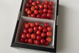 価値ある大粒【佐藤錦】🍒1キロ🍒【２Ｌサイズ以上】【さくらんぼ】【ギフト】【大切な方への贈り物にも】