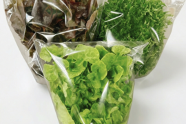 【農薬不使用】至宝のレタス 3種ミックス（1kg）硝酸態窒素最大90%カット！