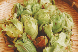 春の山菜1番手！たっぷりフキノトウ！(400ｇ)朝採りほろ苦さと香り高い天然もの《ご予約品》