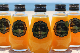 【訳あり】１００％ストレートジュース「媛一ジュース」160ml×８本