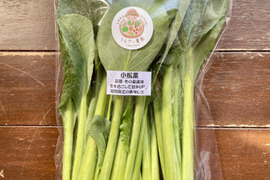 小松菜2kg(200g×10袋) 農薬・化学肥料不使用