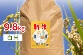 【令和6年新米】はえぬき9.8キロ白米さっぱり食感！！