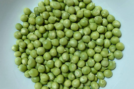 5月発送【冷蔵便】【訳ありB級規格外品】うすいえんどう豆　1kg