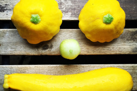 旬！の【夏野菜】産地直送盛り盛りセット7〜8品目