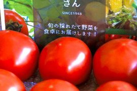 丹波の恵❗️絶妙な甘さのトマトを食卓に❗️【約2k入❗️】
