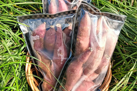 冷凍  一口 焼き芋 250g×12