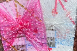 【御歳暮ギフト】贈答用箱入り 飯岡産天日干し白魚＆シラス