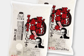 【新米予約　令和8年産】ママ！僕このご飯が好き！毎日食べれる新潟米！　新潟岩船米　泥根性こしいぶき1０kg（5kg×2）