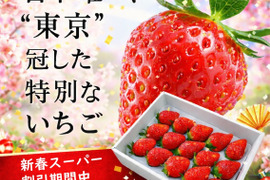 【新春セール当店通常価格の25％OFF】「東京おひさまベリー」(9～30粒入り、約300g)【贈答用大粒いちご】 東京生まれのニューブランド ギフト 果物 プレゼント 贈り物 お礼品 御礼品 誕生日