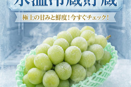 贈答用　シャインマスカット　２房（1.2キロ前後）