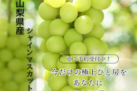 山梨県産 シャインマスカット 800g 贈答用 高級品 予約開始！