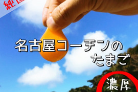 卵黄トロ～リ！濃厚自慢の名古屋コーチンのたまご36個入‼
