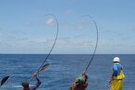 B1カツオ赤身刺身用4ブロック