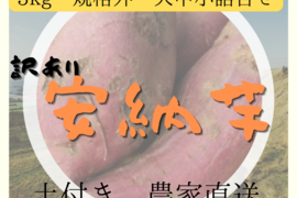 安納芋　大中小　サイズ詰め合わせ　約3kg