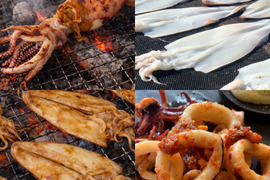 イカ４種☆豪華食べ比べセット