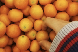 【まとめ買い】小玉/種ごと丸ごときんかん計3kg