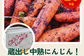 ※蔵出しのご褒美※十勝浦幌産の雪の中の中熟にんじん20kg