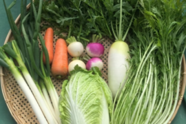 [なゆた農場]冬野菜たっぷり鍋野菜セットMサイズ（8袋分）