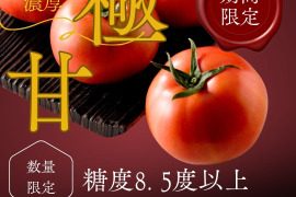 【糖度8.5度以上】極甘スーパーかれん1ｋｇ