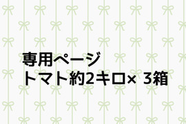 a様専用ページ