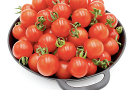 パリッと新鮮！真っ赤で美味しい完熟ミニトマト(2kg)