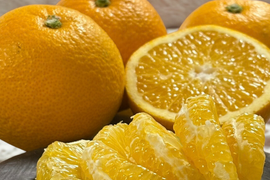 シャキプリの甘酸っぱい和歌山の八朔 2kg