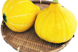 【栽培期間農薬・化学肥料不使用（自然農法）】食感が楽しくサラダで美味しいサラダカボチャ コリンキー2㎏