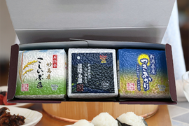 令和7年産　新潟県産　真空パック米３００ｇ×３個セット　白米