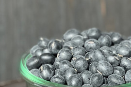 丹波篠山黒大豆 2025年A級250g レシピ付き / 黒く艶めく甘い黒豆煮に！