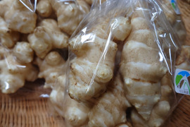 掘って洗い直ぐお届け【菊芋1.5kg】60ｻｲｽﾞで送料お得