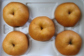 【冬ギフト】鳥取県産 あたご梨 5kg