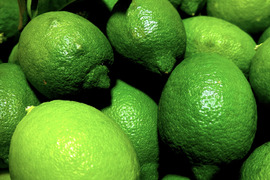 The citrus【LEMON (green)】グリーンレモン 2023 約4kg